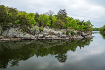 River Reflection