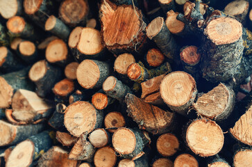 Cut branches are piled up for lighting furnace