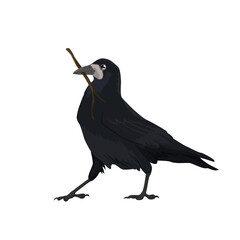 Vector beautiful big black raven carries branch