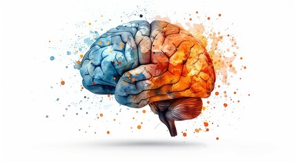 Watercolor brain vector illustration on white background, half of the human head is orange and other side blue with copy space for your design