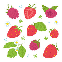 Fruits set. Strawberries and raspberries, whole and slices, leaves. Free hand vector illustration isolated on white