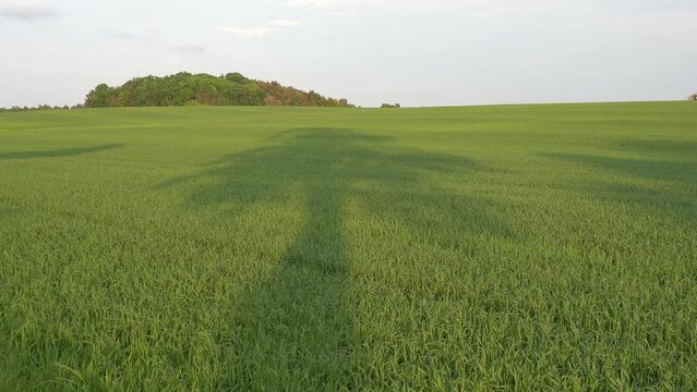 Tilsvilde, Denmark A sunset view over green agricultural fields and shadows of trees. 