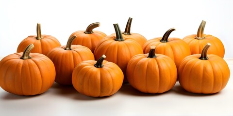 Obraz premium Pumpkin patch in solitude against a white backdrop. Concept Pumpkin Patch, Solitude, White Backdrop