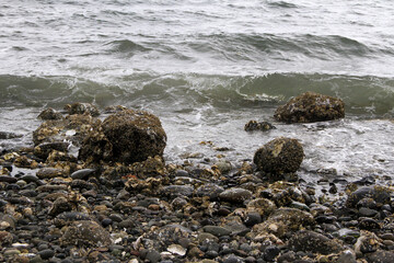 Small steady waves during a stormy day on Hood Canal