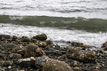 Small steady waves during a stormy day on Hood Canal