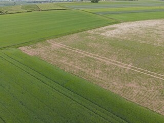 Obraz premium Aerial view of fields in spring