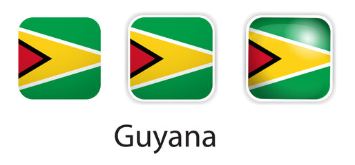 Fototapeta premium Guyana flag vector icons set in the shape of rounded square