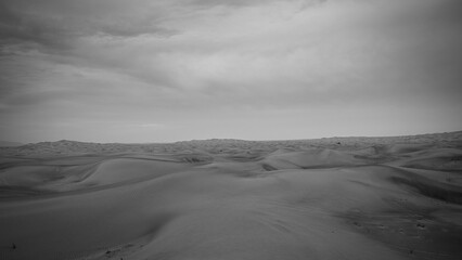 Desert  Landscape