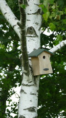 birdhouse on tree