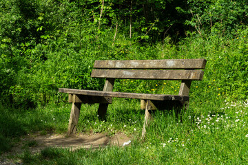 Naklejka premium Wooden benche under trees, in a park. An old wooden benche in front of the woods. The scene is peaceful and serene, with the benche providing a place for people to sit and enjoy the view