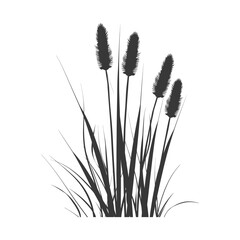 Silhouette black water reed plan cattails leaf black color only