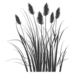 Silhouette black water reed plan cattails leaf black color only