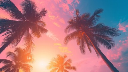 Wide-format tropical sunset with radiant palm silhouettes against a gradient sky of pink and blue hues, perfect for vacation themes. Holiday background. Empty, copy space for text.