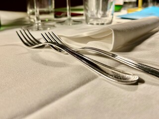 table setting with cutlery