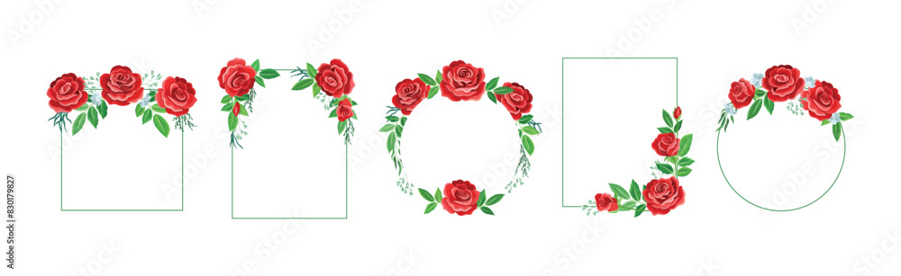Poster rose frame with red lush bud and green leaves arranged in shape with border vector set