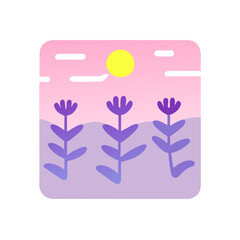 Fototapeta premium colorful vector illustration of a lavender field in Provence