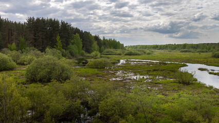A wetland ecosystem with a meandering river, lush greenery, and reflective water, showcasing the tranquility and biodiversity of nature's wilderness