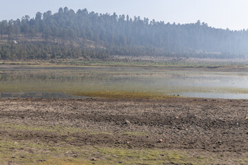 Dry lake swamp, global warming effect