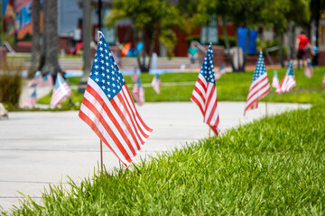 american flags in a row
