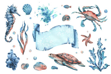 Seahorse, crab, turtle, shells, starfish, fish, bubbles, pebbles, other sea animals. Hand drawn watercolor illustration in turquoise, blue and coral colors. Set of elements isolated from background.