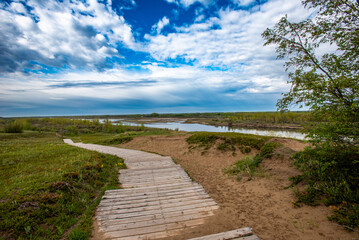 Spring day at Cranberry Flats Conservation Area