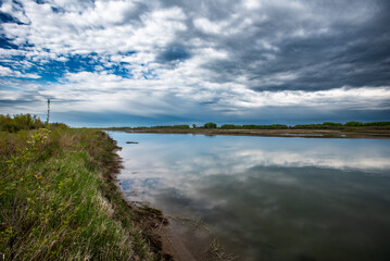 Spring day at Cranberry Flats Conservation Area