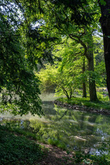 A lake in green nature with trees