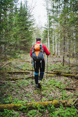 Hiker in Red Jacket Exploring Forest Trail with Backpack and Poles