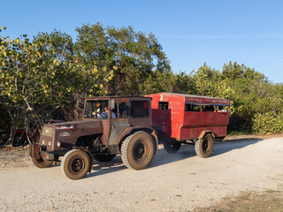 Obraz premium Old Cars in Cuba