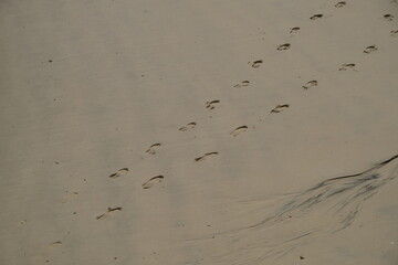 traces de pas sur le sable de la plage