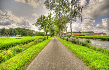 Agricultural companies along a country road in a rural lanscape in The Netherlands.