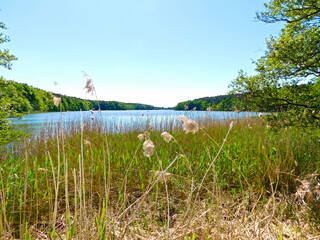 Blick vom Ufer auf den Stadtsee bei Templin