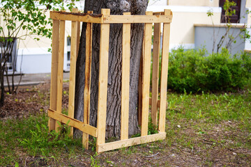 Protective wooden fence encircling a tree