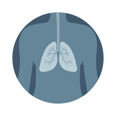 X-ray lungs in human