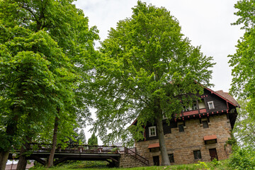 A stone house with a large tree in front of it. The house is surrounded by trees and has a stone roof