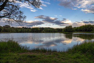 Clouds before sunset reflected in pond water