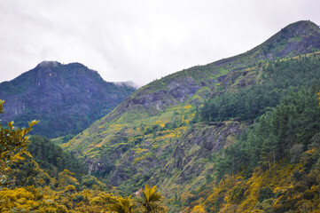  View from Baker's Bend, Clouds Touching Mountain Top,Cool Autumn Vibes, Nonpareil Mountain, Belihuloya, Sri Lanka


