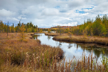Creek in northern Minnesota by trees and hills in autumn color in northern Minnesota