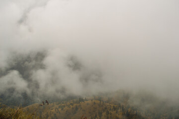  View from Baker's Bend, Clouds Touching Mountain Top,Cool Autumn Vibes, Nonpareil Mountain,...