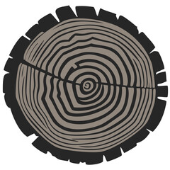 Wood texture rings slice of tree wooden stump