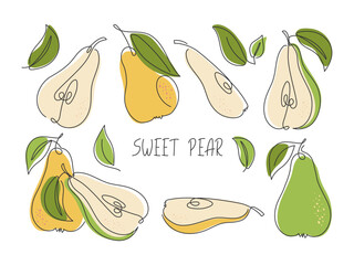 Various pear slices isolated on white. Continuous line modern simple illustration. Fresh healthy garden fruit doodle drawing. Healthy natural organic food. Ingredient for juice, smoothie, dessert