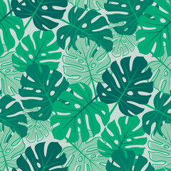 Seamless pattern of monstera leaves. Green tropical leaf floral background in flat style. Foliage texture for wrapping paper, print, fabric, web, wallpaper., Vector illustration