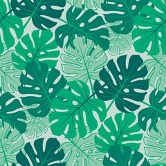 Fototapeta premium Seamless pattern of monstera leaves. Green tropical leaf floral background in flat style. Foliage texture for wrapping paper, print, fabric, web, wallpaper., Vector illustration