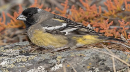  A small bird perches atop a rock, adjacent to a patch of grass and vibrant orange flowers Moss blankets the rock's side
