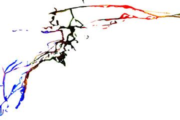 Image of the colored splashes in abstract shape, on white background