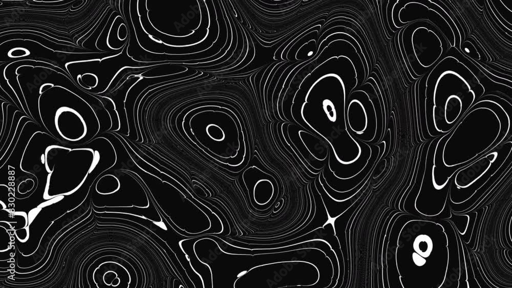 Poster Animated wavy line motion graphic background. Seamless looped Abstract motion graphic, Abstract moving topographic map lines. Moving wavy line striped