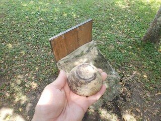 Colombian tejo game, also known as turmeque, is a traditional throwing sport in Colombia