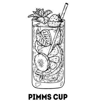 Pimms cup cocktail illustration. Hand drawn sketch. Vector illustration. Isolated object.