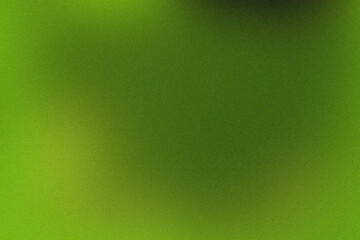 Highresolution photo showcasing a green gradient backdrop with a gentle grainy texture overlay