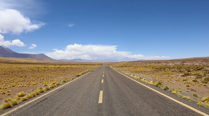 Panaroma View of the road between San Pedro de Atacama and the Laguna Miscanti in Chile
